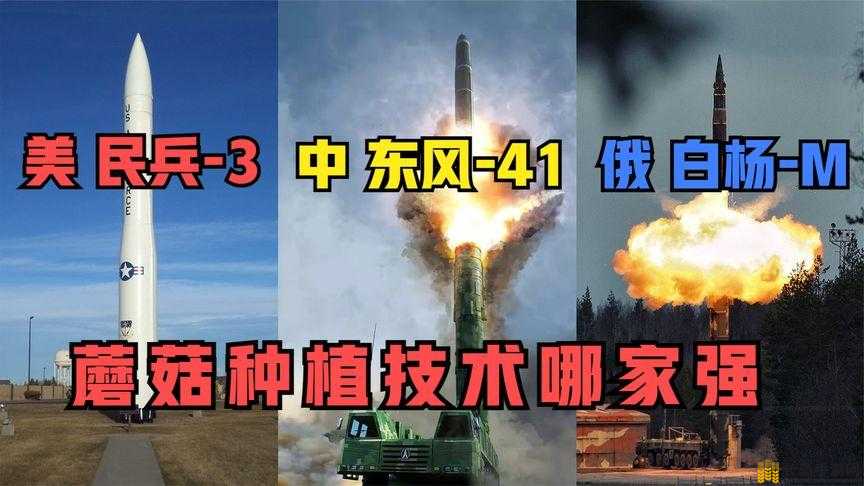 韩国 VS 日本 中国 VS 美国 视频 精彩对决谁能更胜一筹