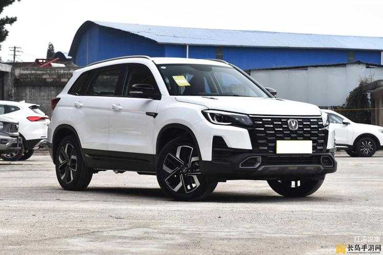 国产 SUV 精品一区：探索高品质国产 SUV 的魅力世界