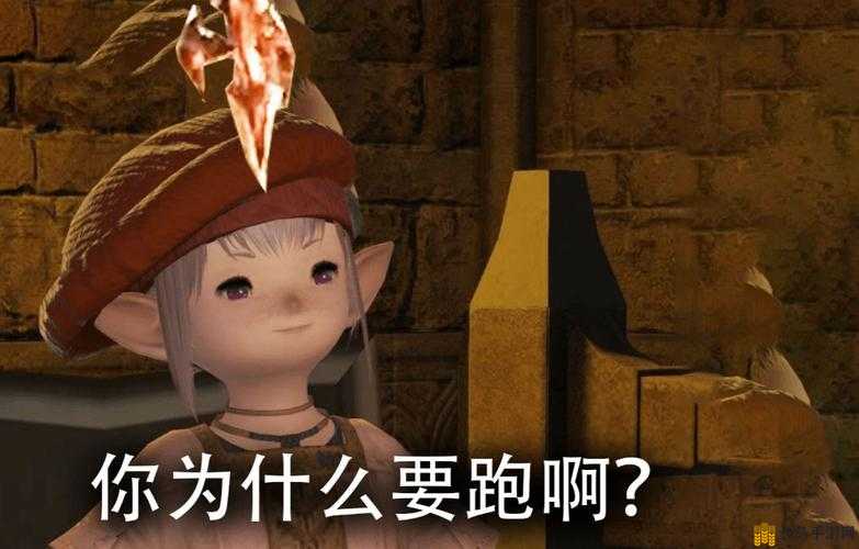 最终幻想14（FF14）中波导的详细含义及解释说明