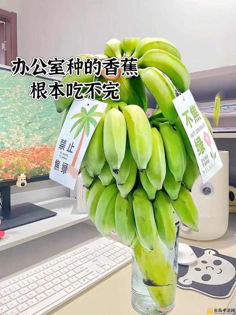 香蕉爱视频：探索独特情感与爱的奇妙交融