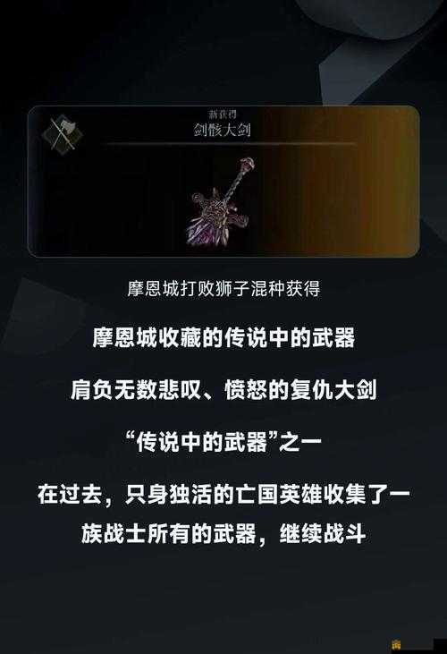 艾尔登法环双持武器效果介绍