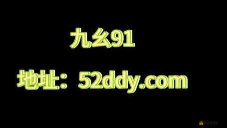 九幺91 旧版安装 8 月 6 号：关于其详细介绍与具体操作说明