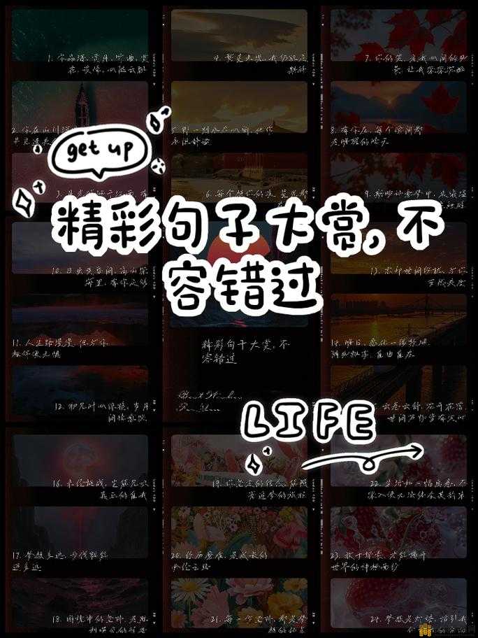 最好看的 2019 中文大全在线观看之精彩内容不容错过