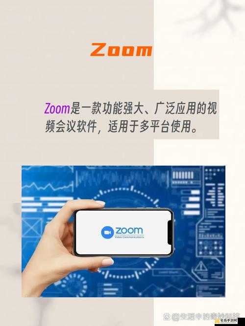 ZOOM 与 ZOOMZOOMHD 对比之详细分析及差异解读